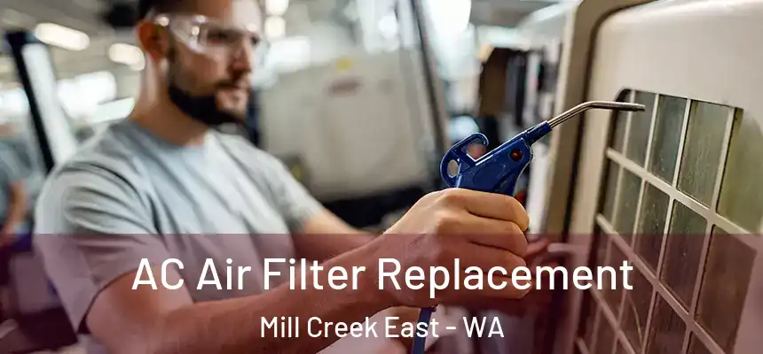  AC Air Filter Replacement Mill Creek East - WA