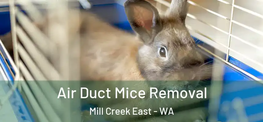  Air Duct Mice Removal Mill Creek East - WA