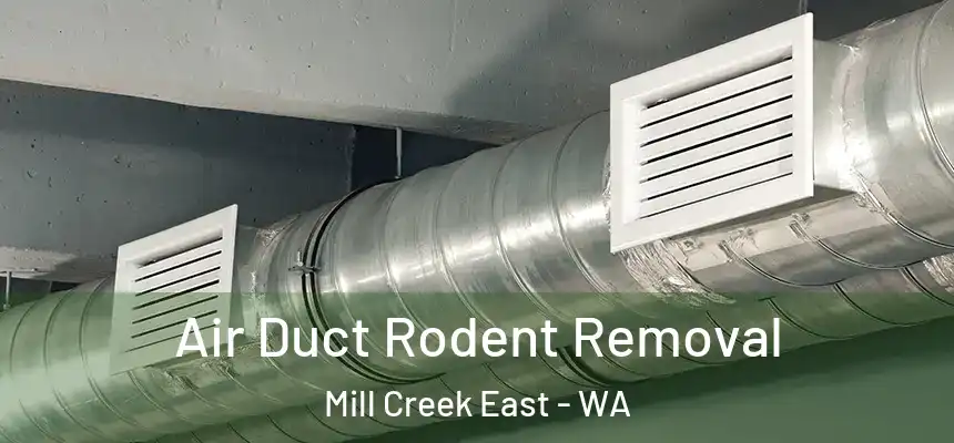  Air Duct Rodent Removal Mill Creek East - WA