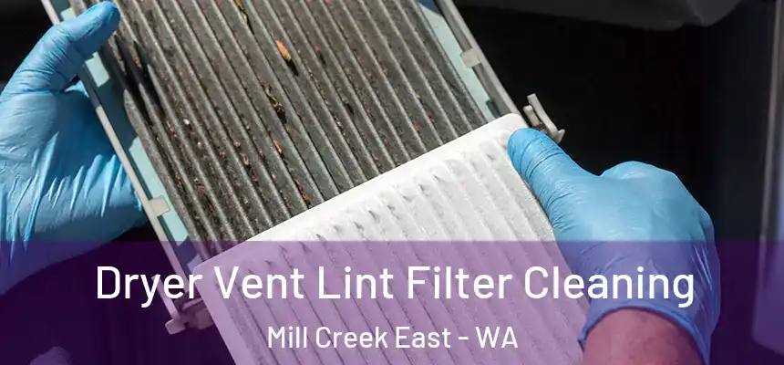  Dryer Vent Lint Filter Cleaning Mill Creek East - WA