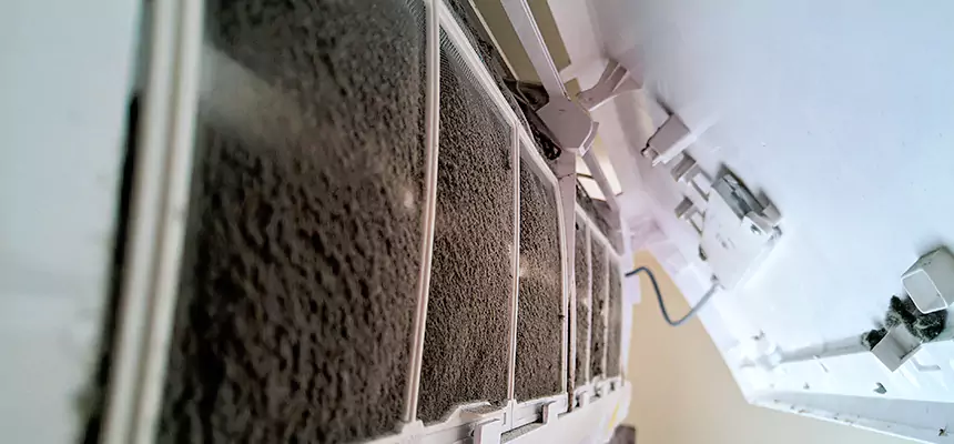 Preventive Air Duct Bacteria Removal in Mill Creek East