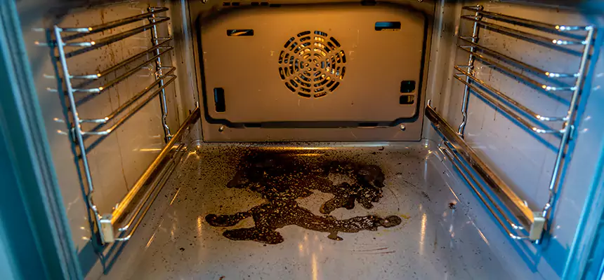 Our Dryer Vent Mold Cleaning Services in Mill Creek East, WA