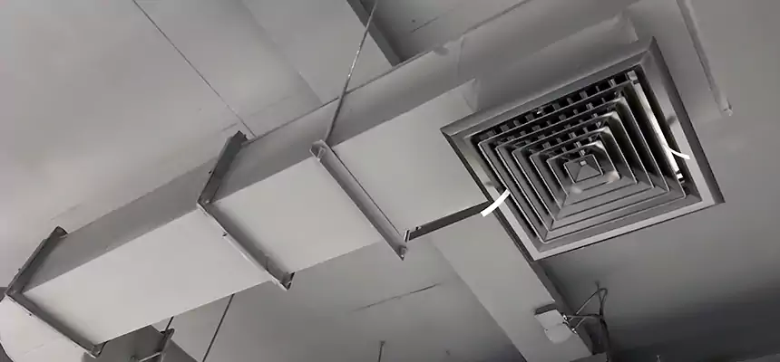 Our Pest Removal From Ducts Services in Mill Creek East, WA