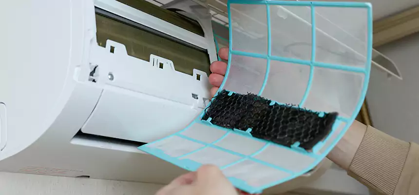 Gentle Ductwork Odor-Control Pet Dander Duct Cleaning in Mill Creek East, WA