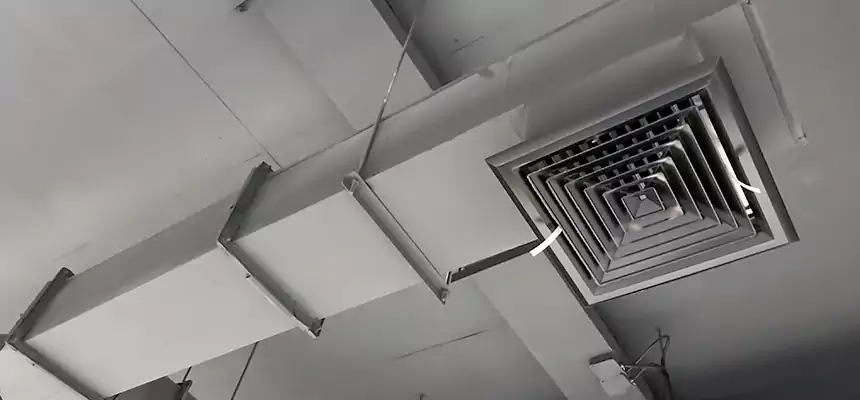 Our Rodent Droppings In Vents Services in Mill Creek East, WA