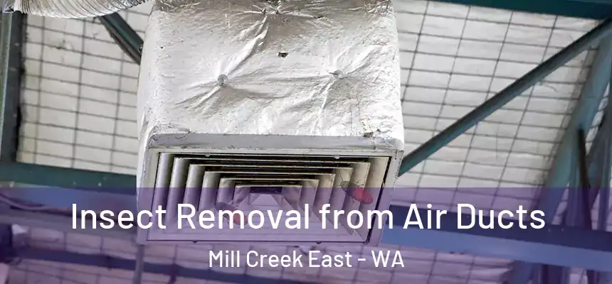  Insect Removal from Air Ducts Mill Creek East - WA