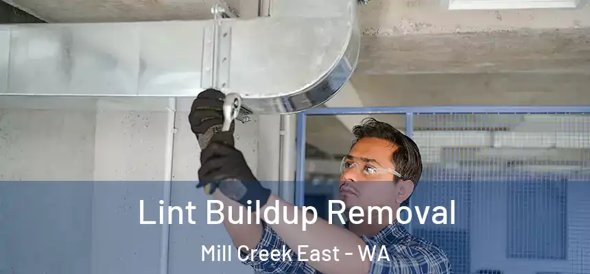  Lint Buildup Removal Mill Creek East - WA