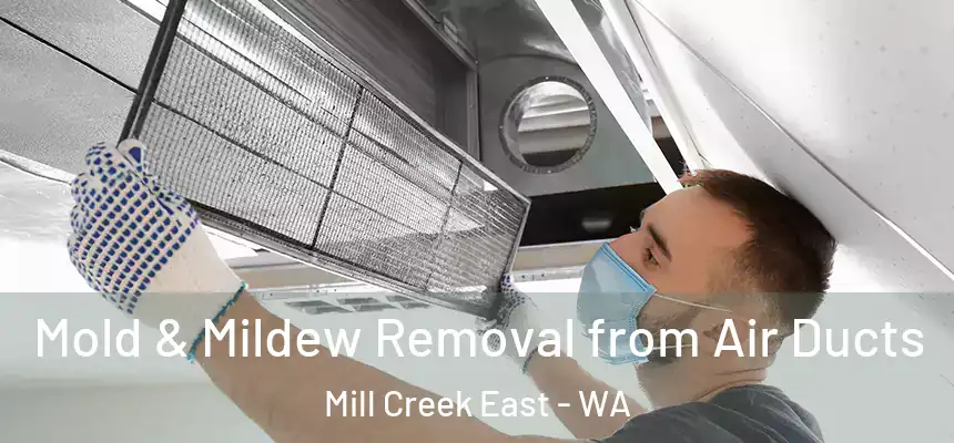  Mold & Mildew Removal from Air Ducts Mill Creek East - WA