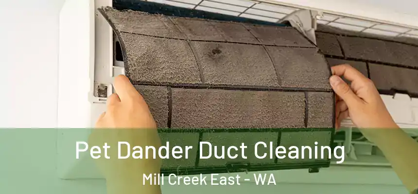  Pet Dander Duct Cleaning Mill Creek East - WA