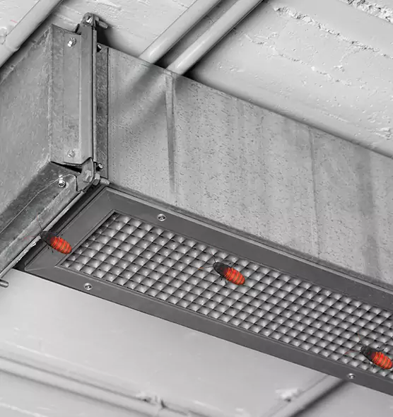 About Air Duct Cockroach Removal in Mill Creek East, WA