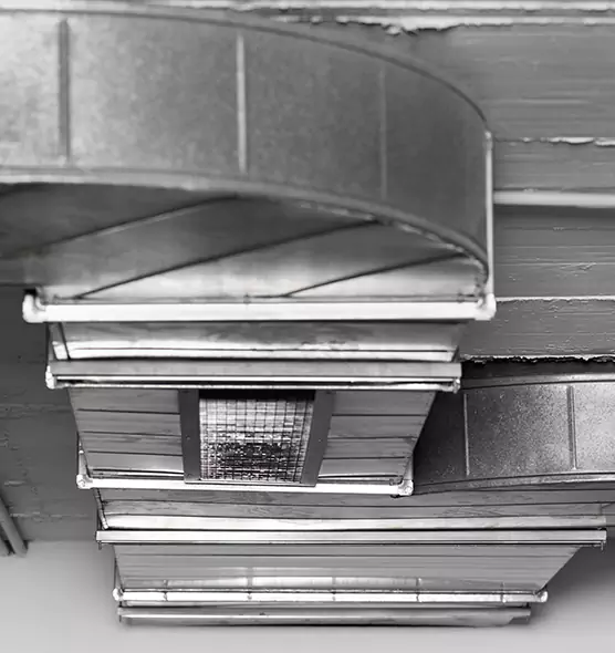 Professional Air Duct Pet Hair Removal in Mill Creek East, WA