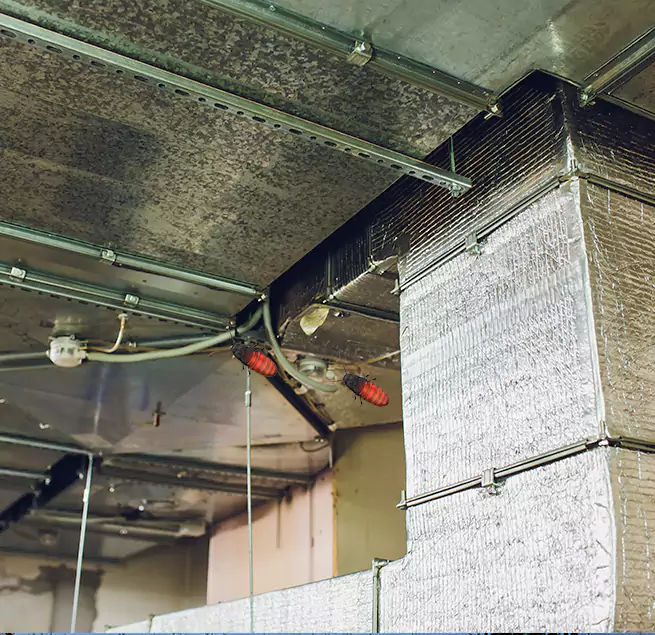 Why Homeowners & Businesses Trust Us in Mill Creek East, WA?