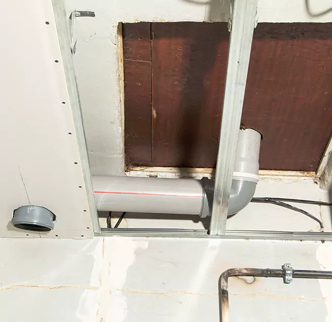 Why Homeowners & Businesses Trust Us in Mill Creek East, WA?