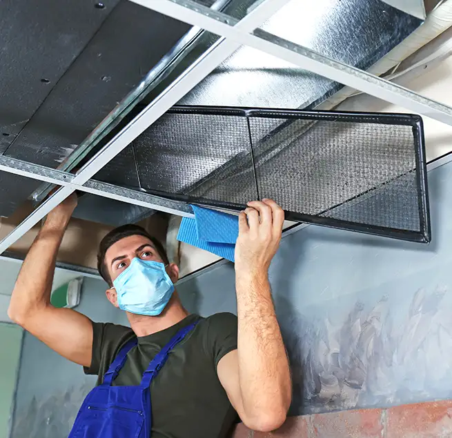 Why Homeowners & Businesses Trust Us in Mill Creek East, WA?