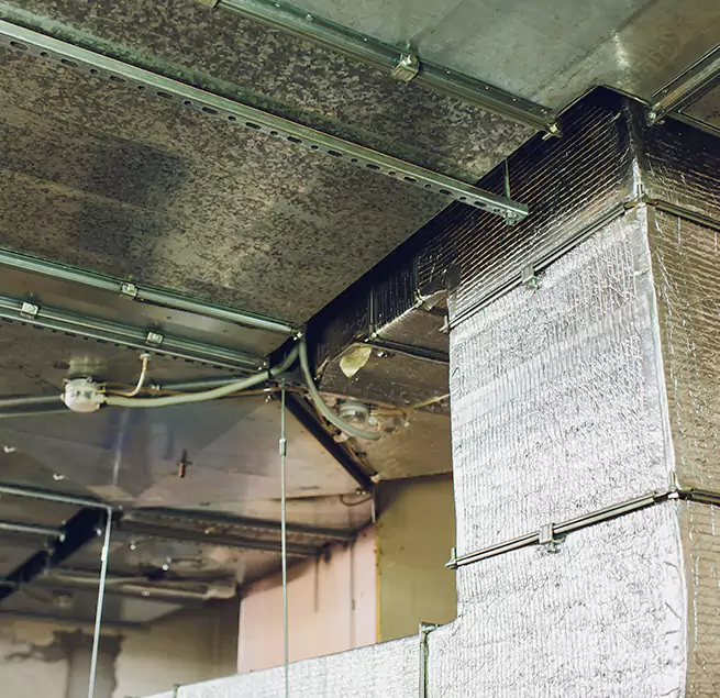 Why Homeowners & Businesses Trust Us in Mill Creek East, WA?